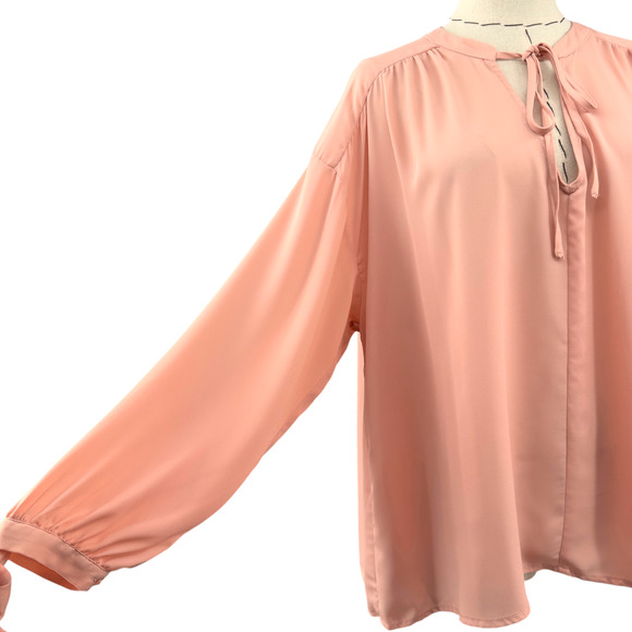Cynthia Steffe Pink Long Sleeve Blouse Pleated Shoulders Loose Fit Size Medium - Picture 3 of 10
